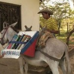 800px-biblioburro