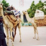 kenya-garissamobilelibrary-camelarriving-2003