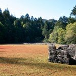 jack_london_park